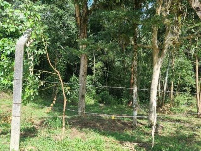 Sítio e chácara venda em Região Geográfica Imediata de Curitiba, Região Metropolitana de Curitiba