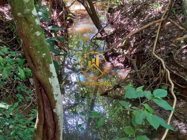 Sítio e chácara venda em Região Geográfica Imediata de Palmeiras de Goiás, Cezarina