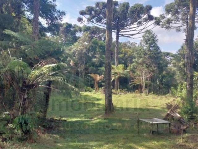 Sítio e chácara venda em Região Geográfica Imediata de Curitiba, Região Metropolitana de Curitiba