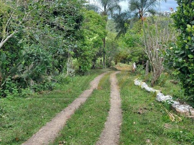 Sítio e chácara venda em Região Geográfica Imediata de Pouso Alegre, Camanducaia