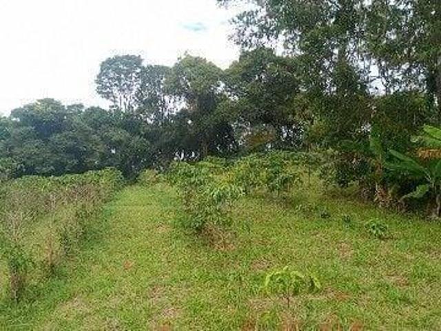 Sítio e chácara venda em Extrema