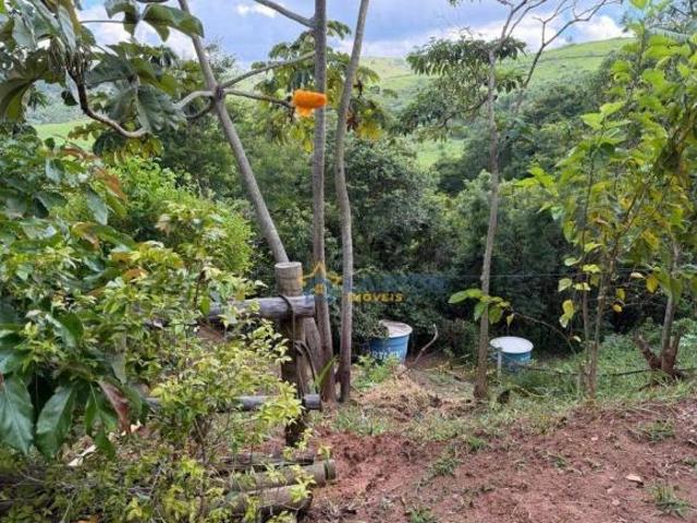 Sítio e chácara venda em Região Imediata de Taubaté-Pindamonhangaba, Região Metropolitana do Vale do Paraíba e Litoral Norte