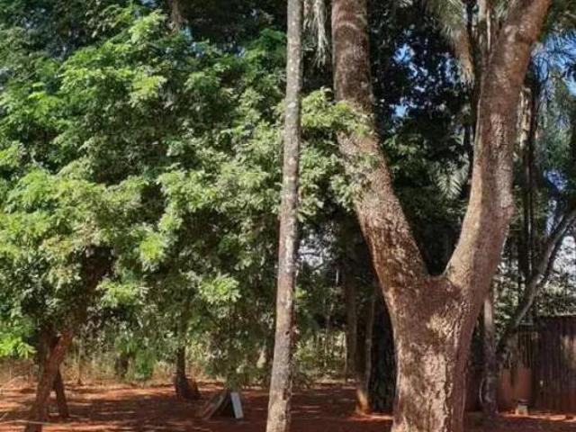 Sítio e chácara venda em Região Geográfica Imediata de Goiânia, Senador Canedo