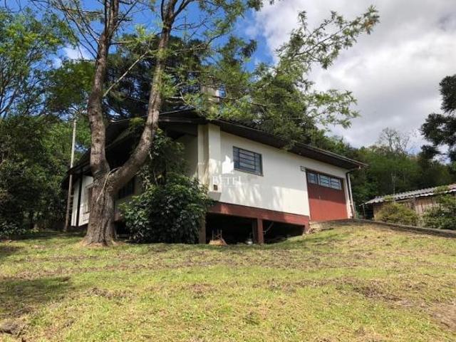 Sítio e chácara venda em Região Geográfica Imediata de Caxias do Sul, Caxias do Sul