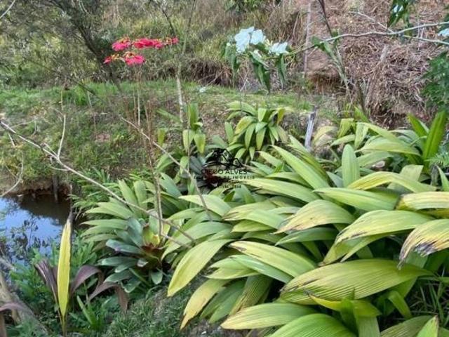 Sítio e chácara venda em Francelinos, Juatuba