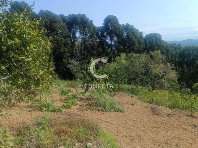 Sítio e chácara venda em Itaqui, Campo Largo