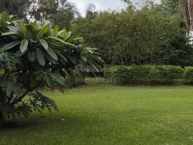 Sítio e chácara venda em Região Imediata de São José do Rio Preto, Região Metropolitana de São José do Rio Preto