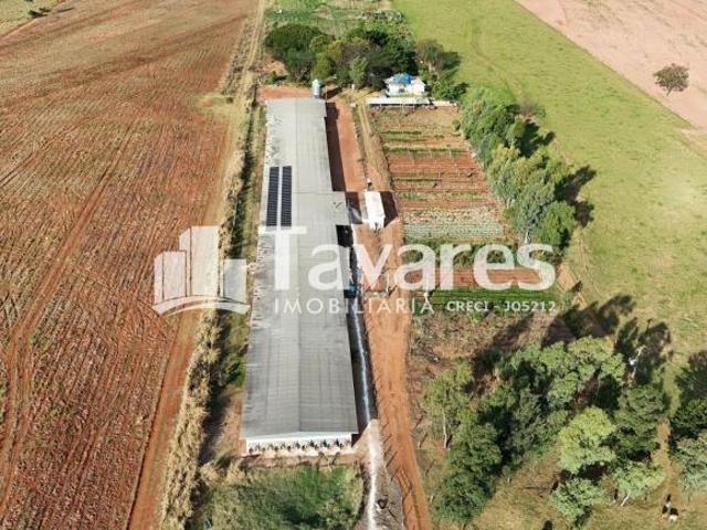 Sítio e chácara venda em Região Geográfica Imediata de Umuarama, Região Metropolitana de Umuarama