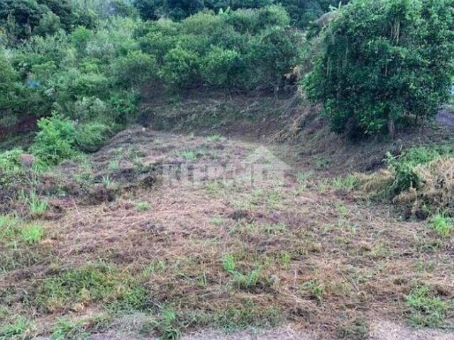 Sítio e chácara venda em Região Geográfica Imediata de Novo Hamburgo - São Leopoldo, Bom Princípio