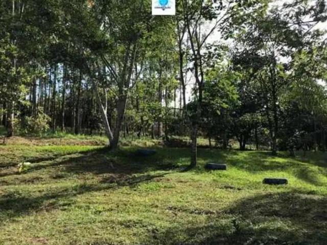 Sítio e chácara venda em Região Geográfica Imediata de Goiânia, Bela Vista de Goiás