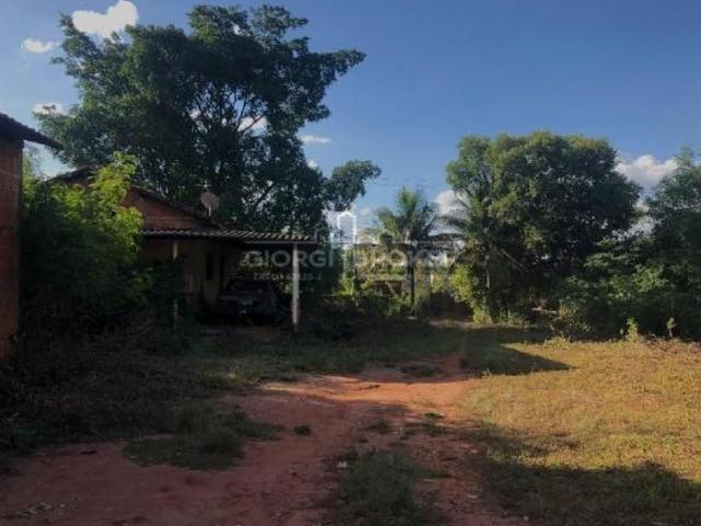 Sítio e chácara venda em Região Imediata de São José do Rio Preto, Região Metropolitana de São José do Rio Preto