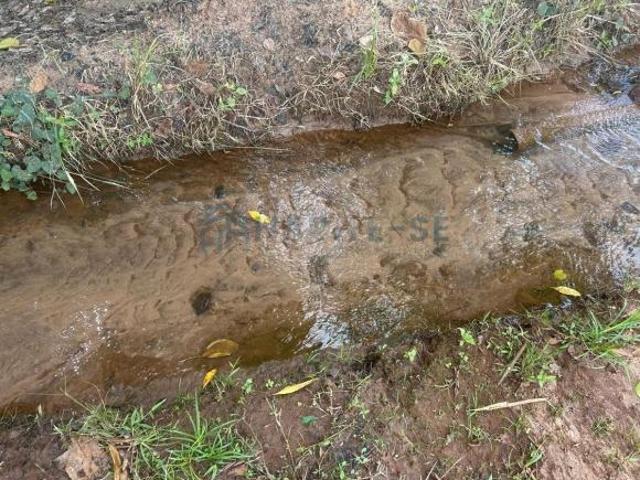 Sítio e chácara venda em Região Imediata de Birigui-Penápolis, Birigui