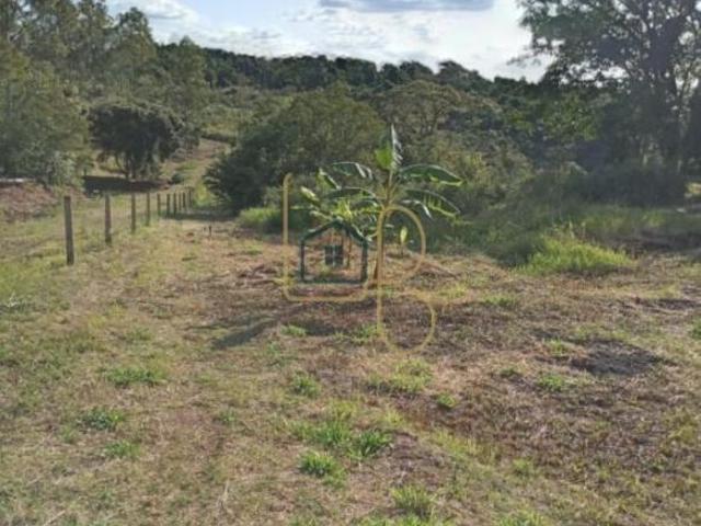 Sítio e chácara venda em Região Geográfica Imediata de Londrina, Londrina