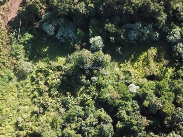 Sítio e chácara venda em Região Geográfica Imediata de Apucarana, Jandaia do Sul