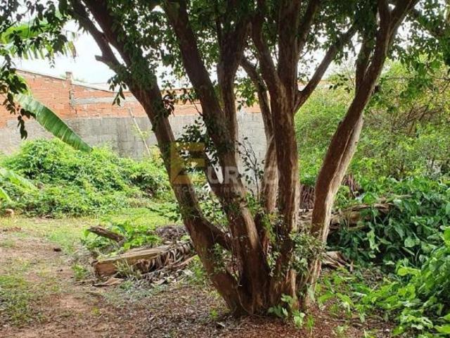 Sítio e chácara venda em Região Imediata de Campinas, Região Metropolitana de Campinas