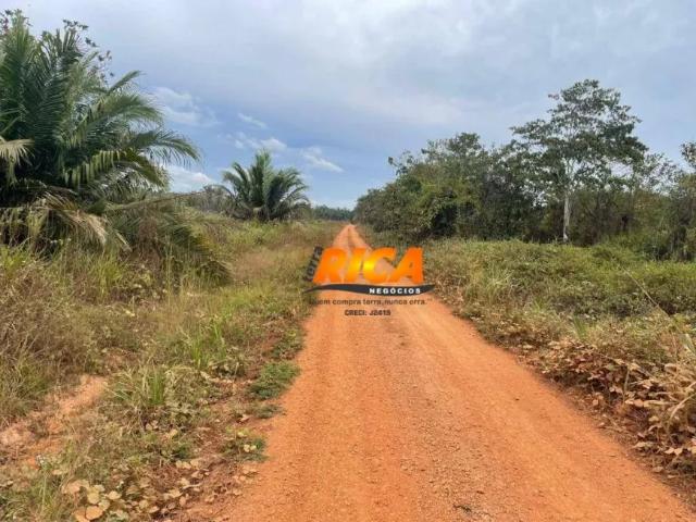 Fazenda venda em Região Geográfica Imediata de Porto Velho, Porto Velho