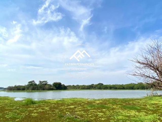 Sítio e chácara venda em Região Geográfica Imediata de Londrina, Sertanópolis