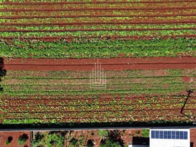 Sítio e chácara venda em Foz do Iguaçu, Região Geográfica Intermediária de Cascavel