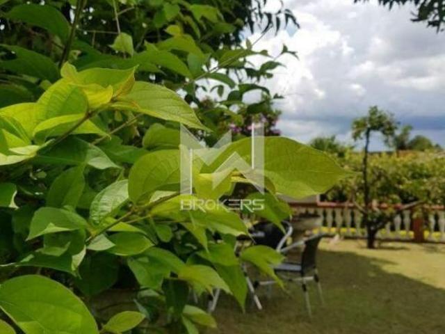 Sítio e chácara venda em Região Imediata de Campinas, Região Metropolitana de Campinas