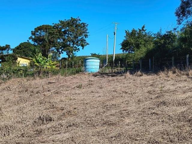 Sitio venda em Apucarana