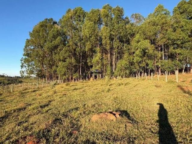 Sítio e chácara venda em Região Geográfica Imediata de Oliveira, Carmópolis de Minas