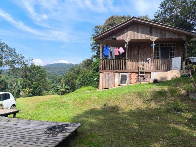 Sítio e chácara venda em Região Geográfica Imediata de Paranaguá, Morretes