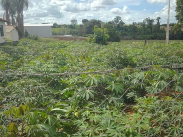Sítio e chácara venda em Região Imediata de São José do Rio Preto, Região Metropolitana de São José do Rio Preto