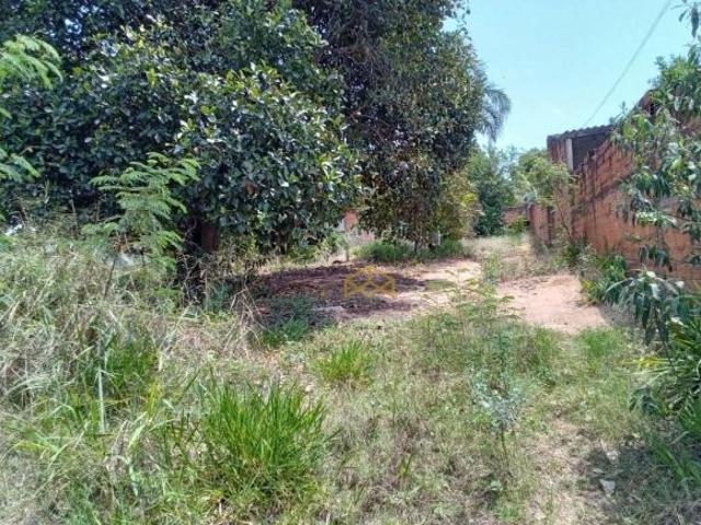 Sítio e chácara venda em Campo Grande, Campinas