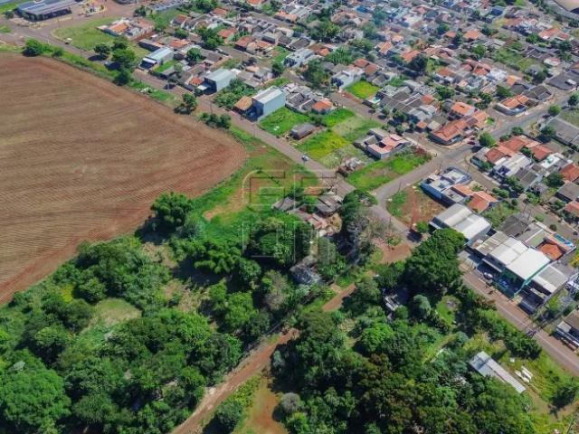 Fazenda venda em Região Geográfica Imediata de Londrina, Londrina
