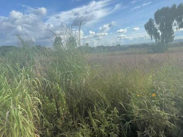 Sítio e chácara venda em Região Geográfica Imediata de Águas Lindas de Goiás, Região Integrada de Desenvolvimento do Distrito Federal e Entorno