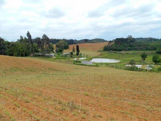 Sítio e chácara venda em Região Geográfica Imediata de Curitiba, Região Metropolitana de Curitiba