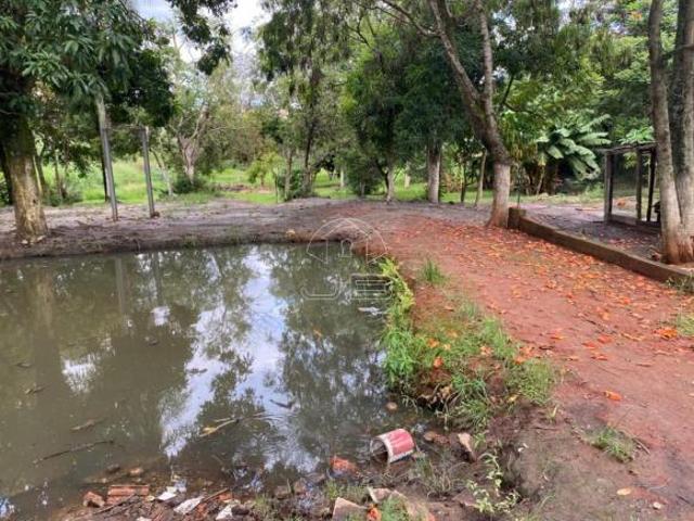 Sítio e chácara venda em Região Imediata de Campinas, Região Metropolitana de Campinas