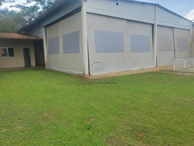 Sítio e chácara venda em Região Imediata de São José do Rio Preto, Região Metropolitana de São José do Rio Preto