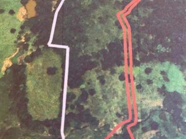 Sítio e chácara venda em Região Geográfica Imediata de Pará de Minas, Pará de Minas