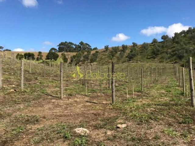 Sítio e chácara venda em Região Imediata de Guaratinguetá, Região Metropolitana do Vale do Paraíba e Litoral Norte