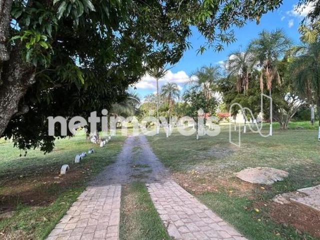 Sítio e chácara venda em Região Geográfica Imediata de Lages, Ponte Alta