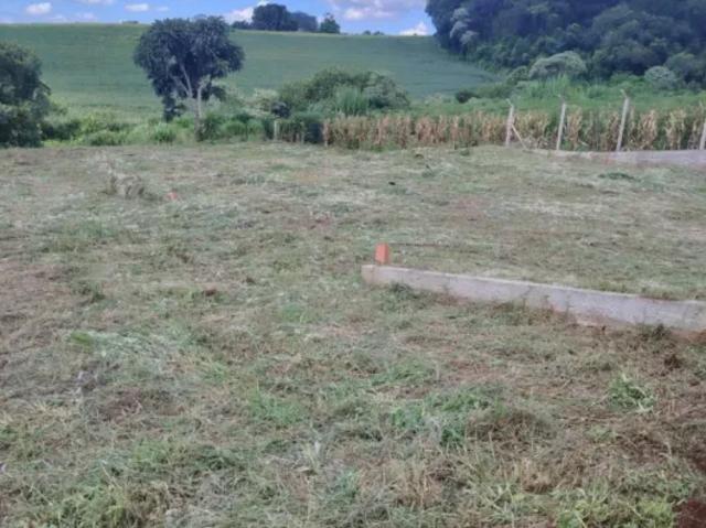 Fazenda venda em Região Geográfica Imediata de Londrina, Londrina