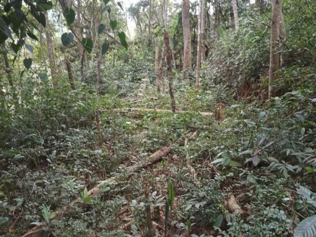 Sítio e chácara venda em Região Imediata de Sorocaba, Região Metropolitana de Sorocaba