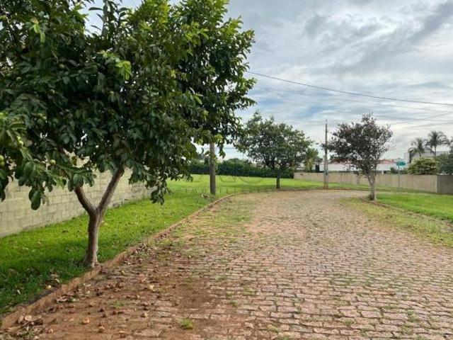 Sítio e chácara venda em Rio das Pedras