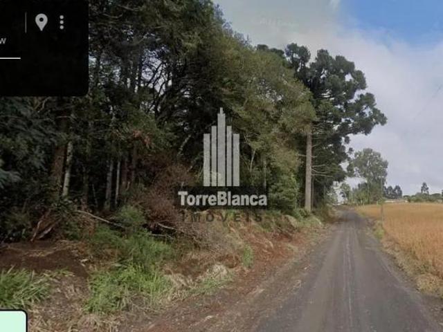 Sítio e chácara venda em Região Geográfica Imediata de Irati, Imbituva