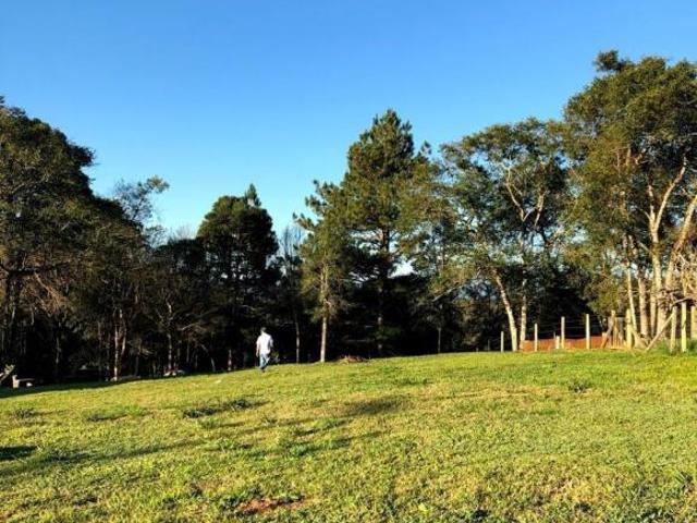 Sítio e chácara venda em Região Geográfica Imediata de Curitiba, Região Metropolitana de Curitiba