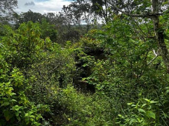 Sítio e chácara venda em Região Geográfica Imediata do Distrito Federal, Região Integrada de Desenvolvimento do Distrito Federal e Entorno