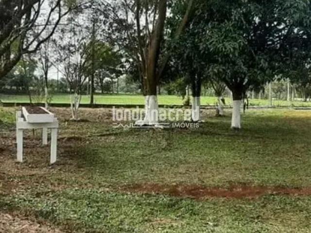 Sítio e chácara venda em Região Geográfica Imediata de Londrina, Londrina