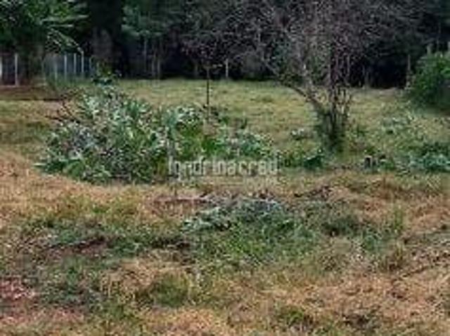 Sítio e chácara venda em Região Geográfica Imediata de Londrina, Londrina