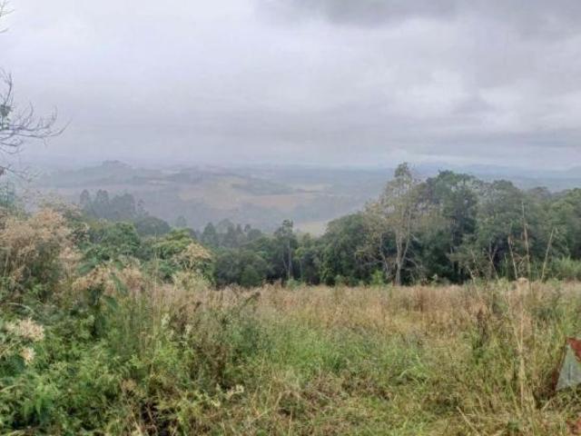 Sítio e chácara venda em Região Geográfica Imediata de Curitiba, Região Metropolitana de Curitiba