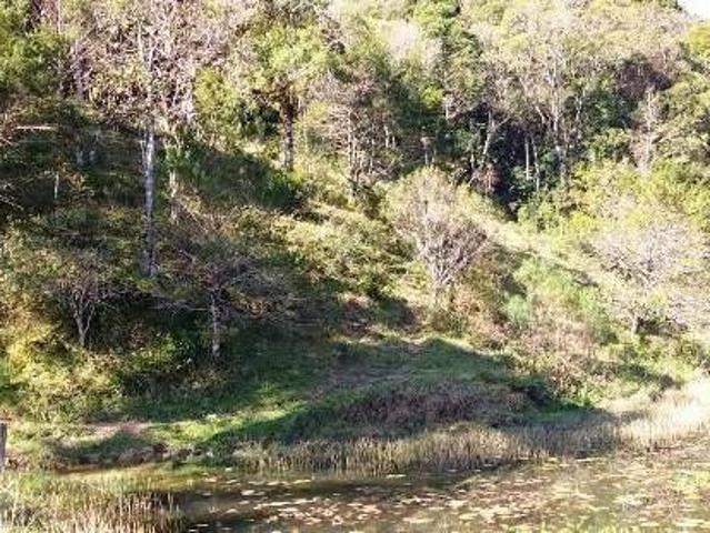 Sítio e chácara venda em Região Geográfica Imediata de Curitiba, Região Metropolitana de Curitiba