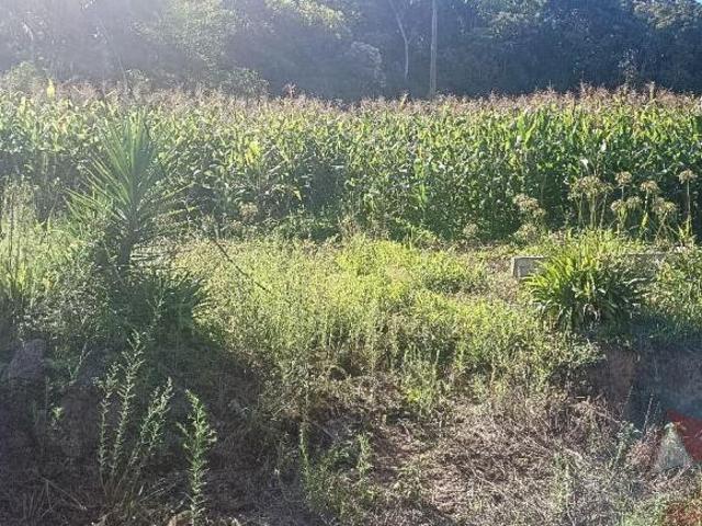 Sítio e chácara venda em Região Geográfica Imediata de Curitiba, Região Metropolitana de Curitiba