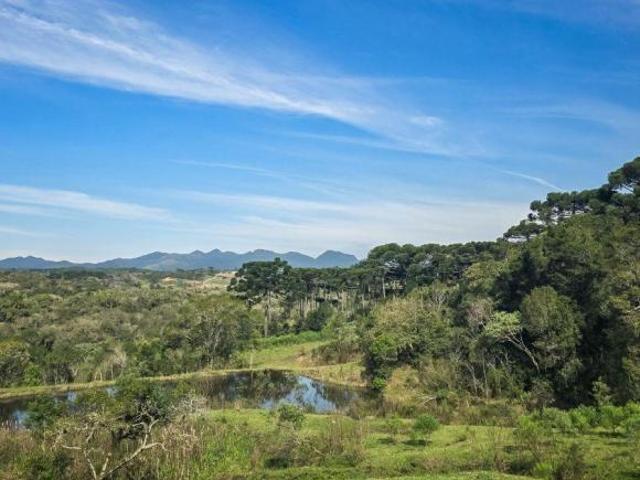 Sítio e chácara venda em Região Geográfica Imediata de Curitiba, Região Metropolitana de Curitiba