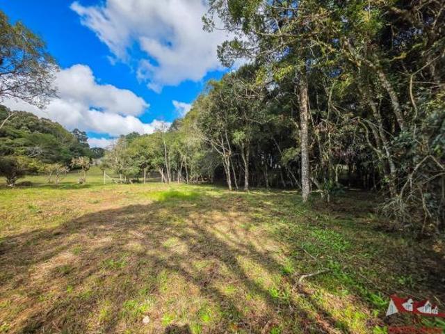 Sítio e chácara venda em Região Geográfica Imediata de Curitiba, Região Metropolitana de Curitiba