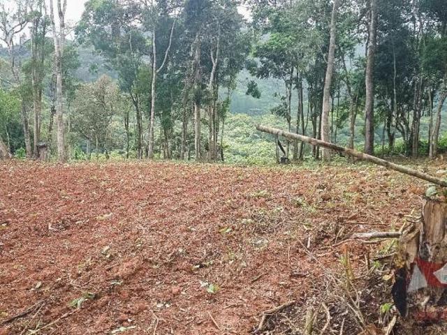 Sítio e chácara venda em Região Geográfica Imediata de Curitiba, Região Metropolitana de Curitiba